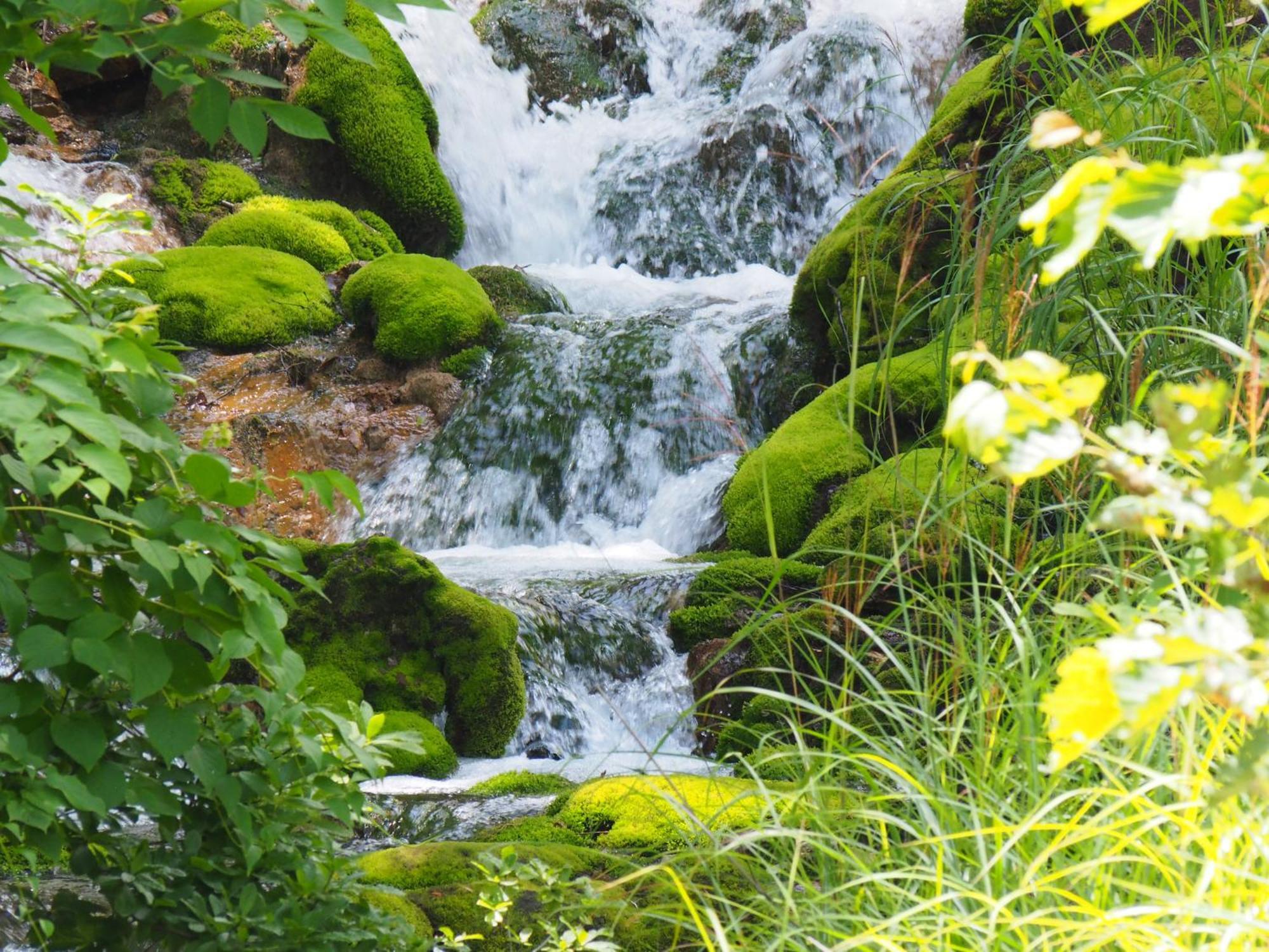 Buna Kusatsu Onsen Inn Buitenkant foto