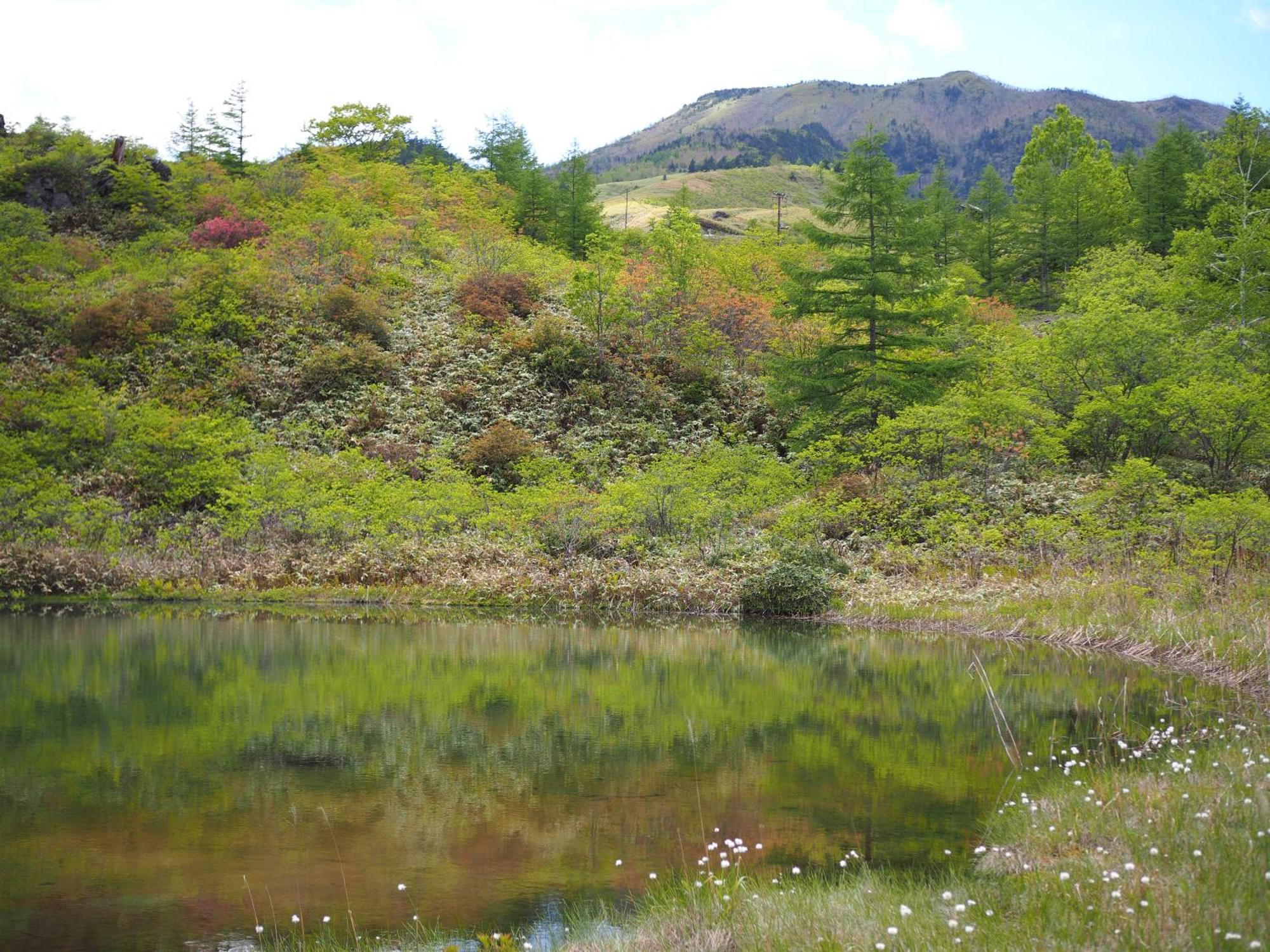 Buna Kusatsu Onsen Inn Buitenkant foto
